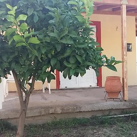Muretto House
